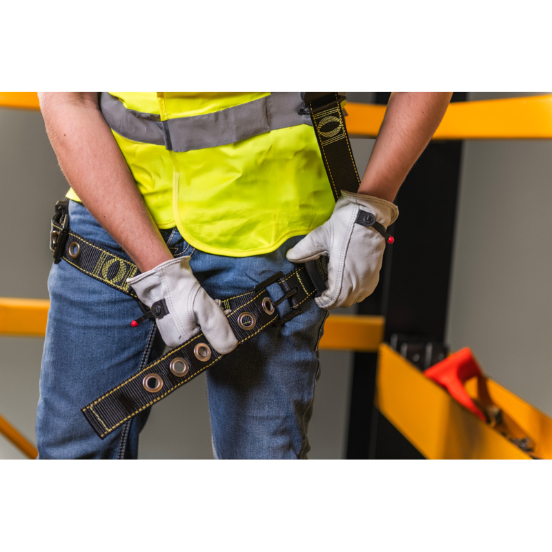 Cyclone Harness (International) | Guardian Fall Protection